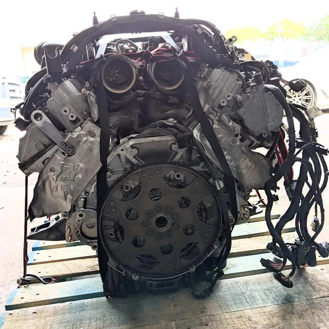 WhatsApp Image 2026-02-07 at 10.50.02 PM